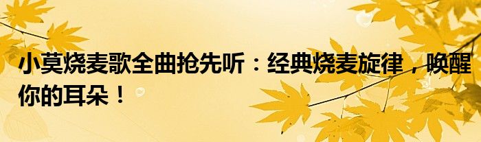 小莫烧麦歌全曲抢先听：经典烧麦旋律，唤醒你的耳朵！