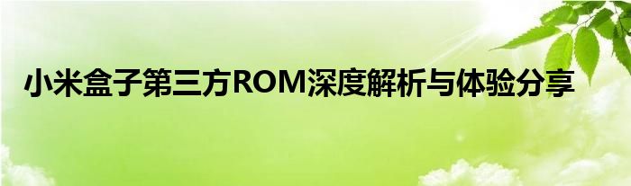 小米盒子第三方ROM深度解析与体验分享