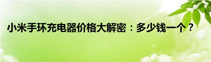 小米手环充电器价格大解密：多少钱一个？