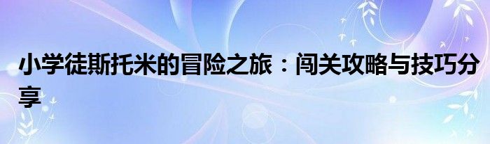 小学徒斯托米的冒险之旅：闯关攻略与技巧分享
