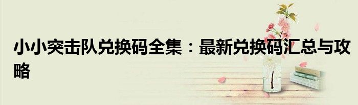 小小突击队兑换码全集：最新兑换码汇总与攻略