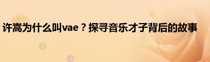许嵩为什么叫vae？探寻音乐才子背后的故事