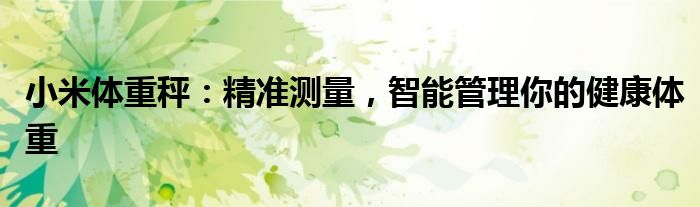 小米体重秤：精准测量，智能管理你的健康体重