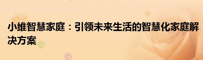 小维智慧家庭：引领未来生活的智慧化家庭解决方案