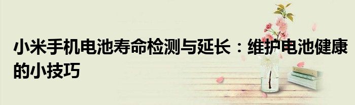 小米手机电池寿命检测与延长：维护电池健康的小技巧