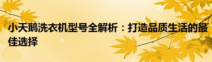 小天鹅洗衣机型号全解析：打造品质生活的最佳选择