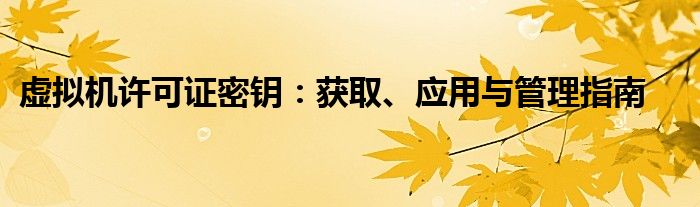 虚拟机许可证密钥：获取、应用与管理指南