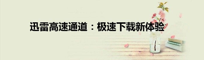 迅雷高速通道：极速下载新体验