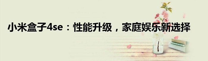 小米盒子4se：性能升级，家庭娱乐新选择