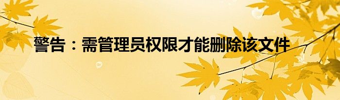 警告：需管理员权限才能删除该文件