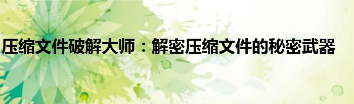 压缩文件破解大师：解密压缩文件的秘密武器