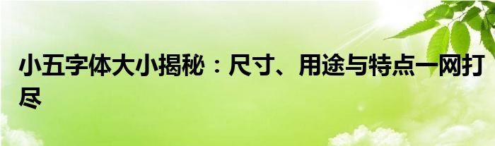 小五字体大小揭秘：尺寸、用途与特点一网打尽
