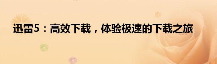 迅雷5：高效下载，体验极速的下载之旅