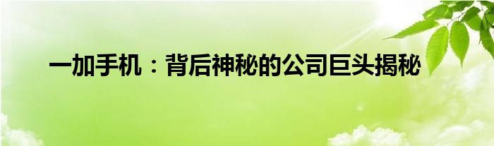 一加手机：背后神秘的公司巨头揭秘