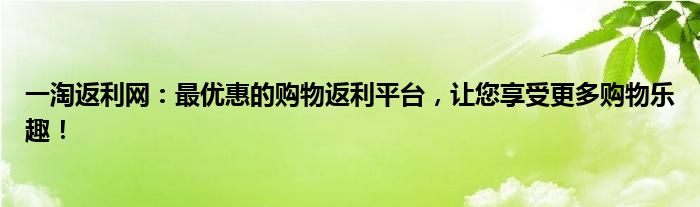 一淘返利网：最优惠的购物返利平台，让您享受更多购物乐趣！