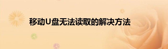 移动U盘无法读取的解决方法