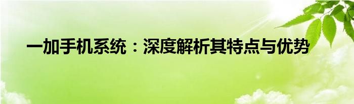 一加手机系统：深度解析其特点与优势