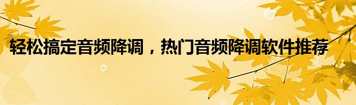 轻松搞定音频降调，热门音频降调软件推荐