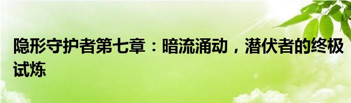 隐形守护者第七章：暗流涌动，潜伏者的终极试炼