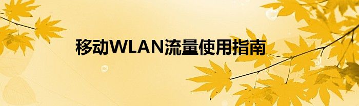 移动WLAN流量使用指南