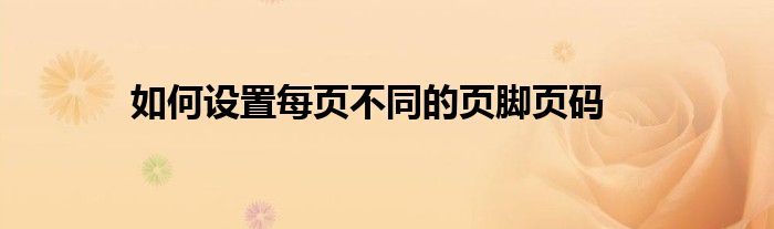 如何设置每页不同的页脚页码