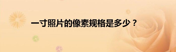 一寸照片的像素规格是多少？