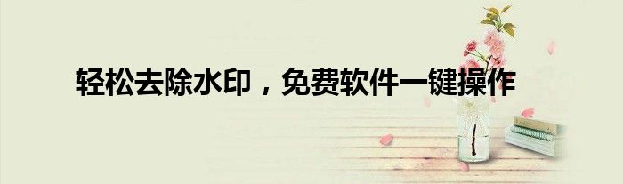 轻松去除水印，免费软件一键操作
