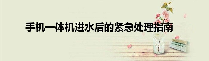 手机一体机进水后的紧急处理指南