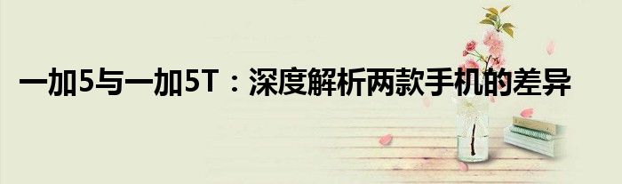 一加5与一加5T：深度解析两款手机的差异
