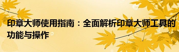 印章大师使用指南：全面解析印章大师工具的功能与操作