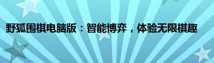 野狐围棋电脑版：智能博弈，体验无限棋趣