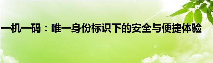 一机一码：唯一身份标识下的安全与便捷体验