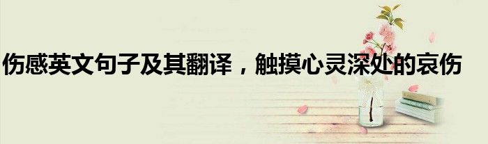 伤感英文句子及其翻译，触摸心灵深处的哀伤