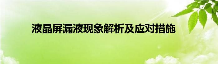 液晶屏漏液现象解析及应对措施