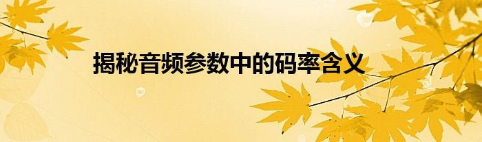 揭秘音频参数中的码率含义