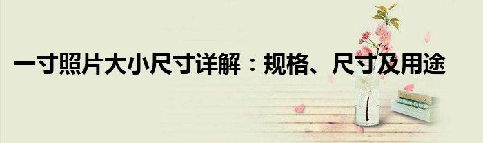 一寸照片大小尺寸详解：规格、尺寸及用途