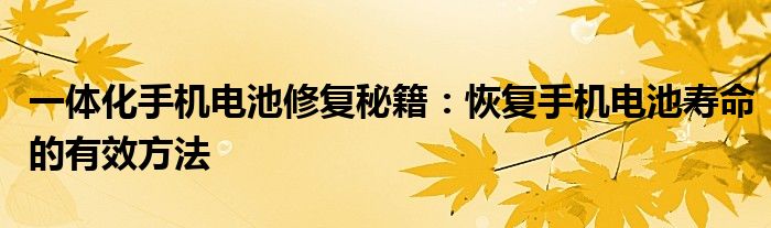 一体化手机电池修复秘籍：恢复手机电池寿命的有效方法