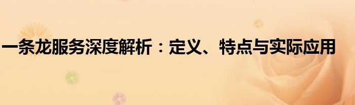 一条龙服务深度解析：定义、特点与实际应用
