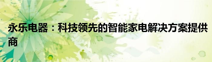 永乐电器：科技领先的智能家电解决方案提供商