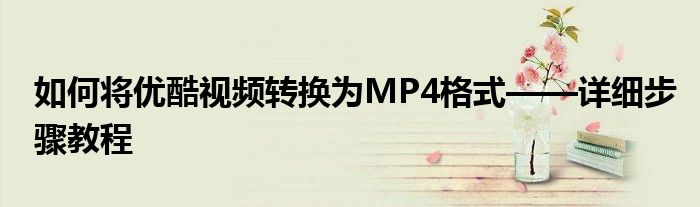 如何将优酷视频转换为MP4格式——详细步骤教程