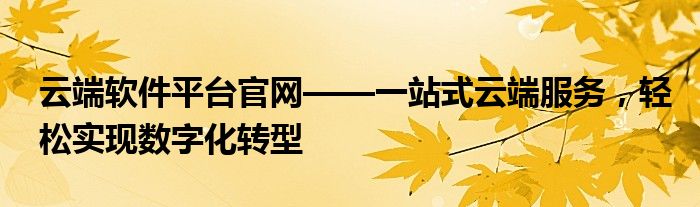 云端软件平台官网——一站式云端服务，轻松实现数字化转型