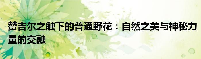赞吉尔之触下的普通野花：自然之美与神秘力量的交融