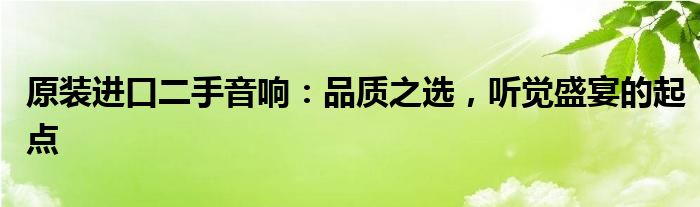 原装进口二手音响：品质之选，听觉盛宴的起点