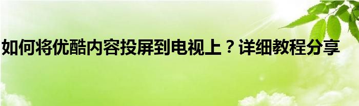 如何将优酷内容投屏到电视上？详细教程分享
