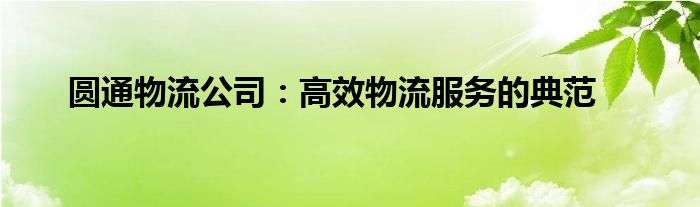 圆通物流公司：高效物流服务的典范