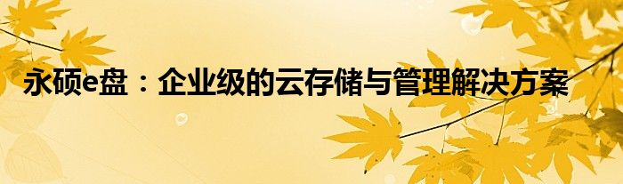 永硕e盘：企业级的云存储与管理解决方案