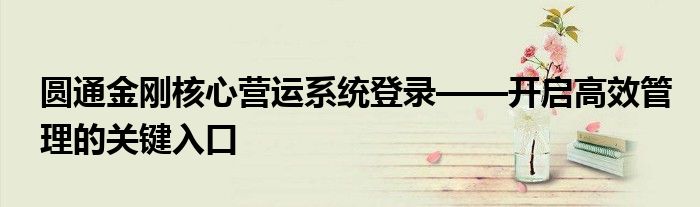 圆通金刚核心营运系统登录——开启高效管理的关键入口