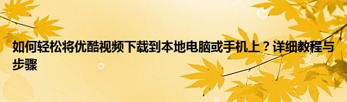 如何轻松将优酷视频下载到本地电脑或手机上？详细教程与步骤