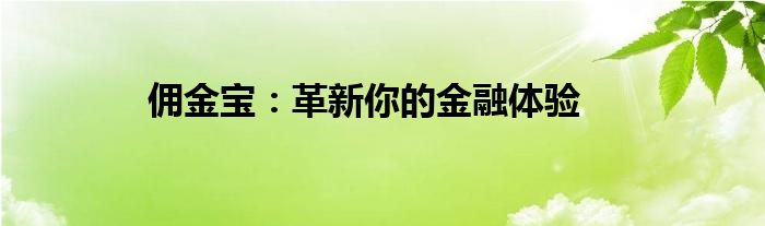 佣金宝：革新你的金融体验