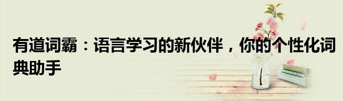 有道词霸：语言学习的新伙伴，你的个性化词典助手